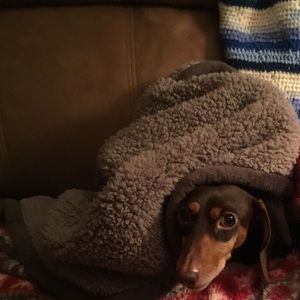 Meet your Posher, Eden